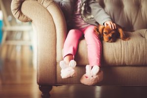 perros de terapia, duelo, muerte, apoyo mascota, mascotas y duelo, apoyo psicologico de animales